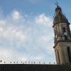 2020.08.29 CIGUEÑAS (1)